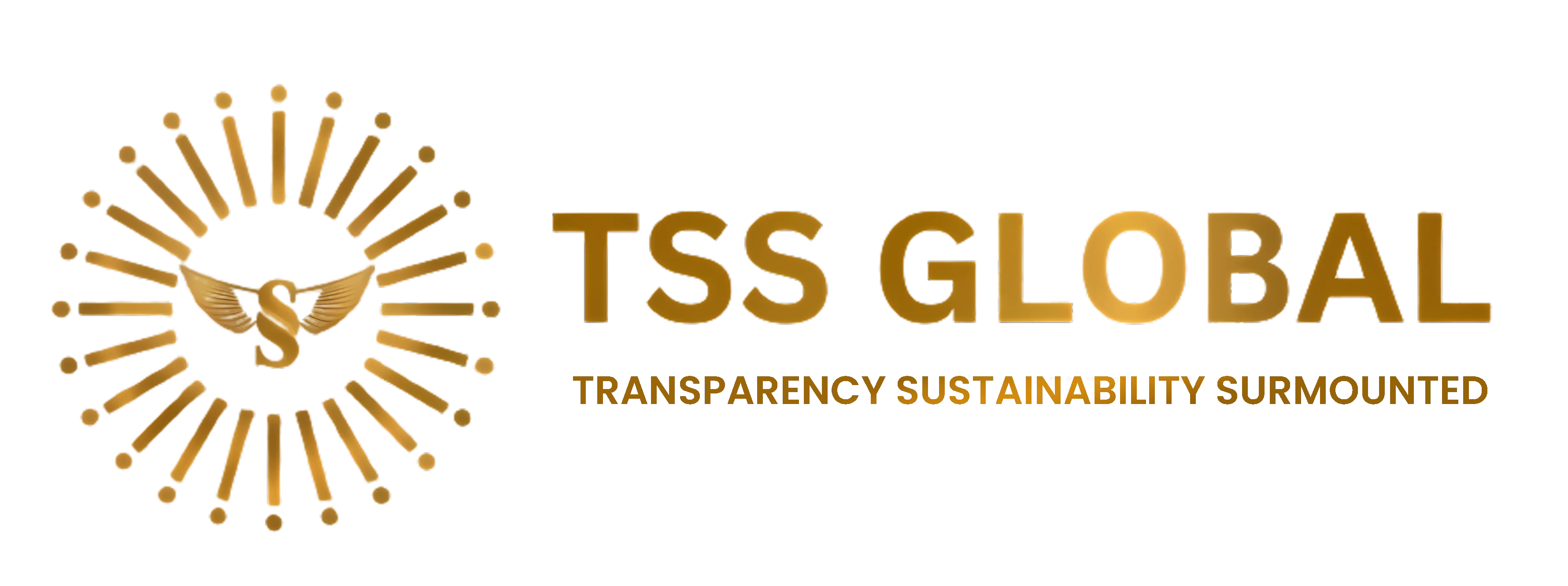 TSS Global logo
